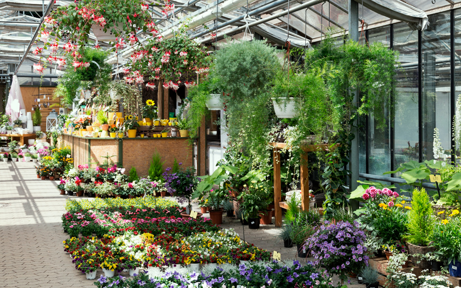 centro-de-jardineria