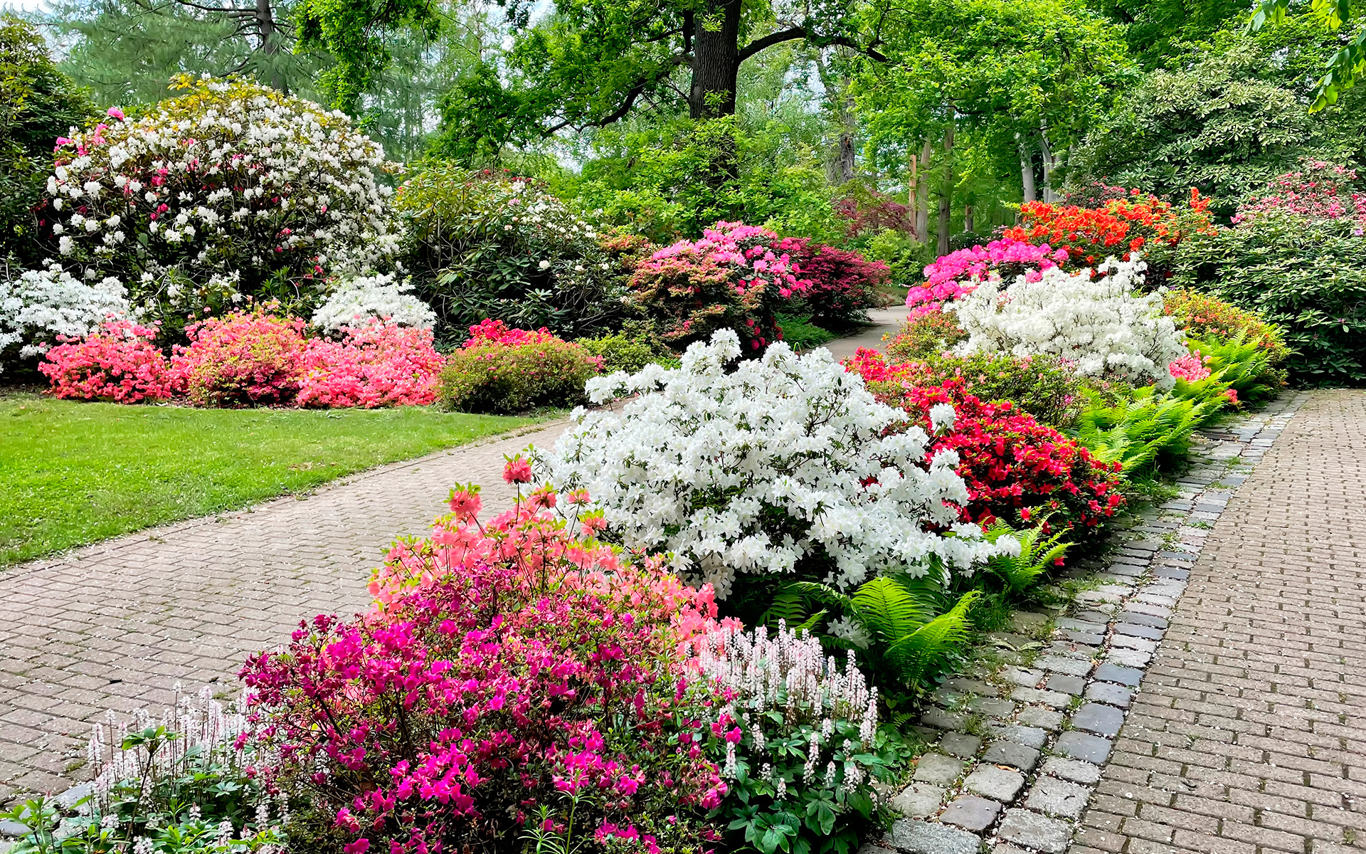 diseño-y-construccion-de-jardines